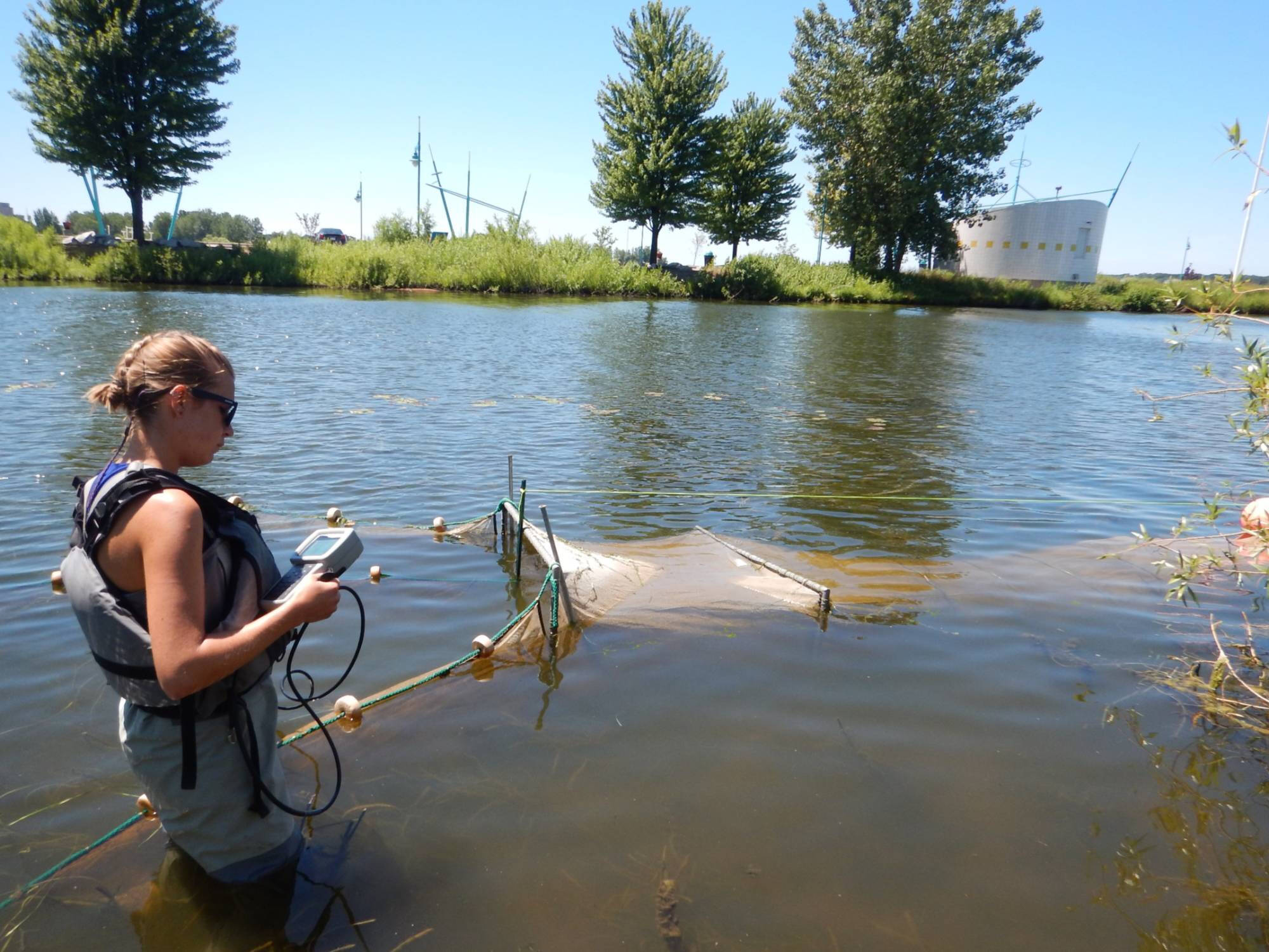 Kaitlyn collects water quality data with a sonde near a deployed fyke net.